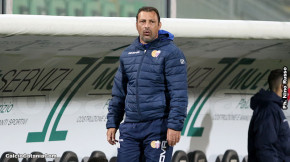 Palermo-Catania 1-1 · Palermo - Catania
