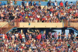 Catania-Sassuolo(0-0), i tifosi · Catania - Sassuolo